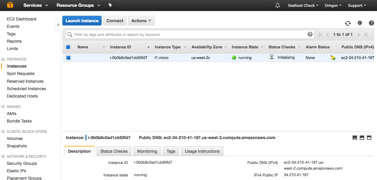 AWS EC2 instance